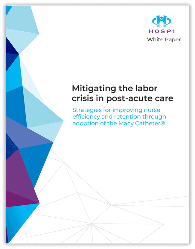 A preview of the Mitigating the labor crisis in post-acute care downloadable PDF file